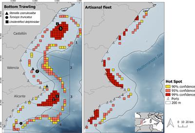 Assessment of the interactions between cetaceans and fisheries at the south of the Cetacean Migration Corridor and neighboring waters (Western Mediterranean)